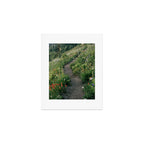 Wildflower Hike Art Print Gallery Image 1