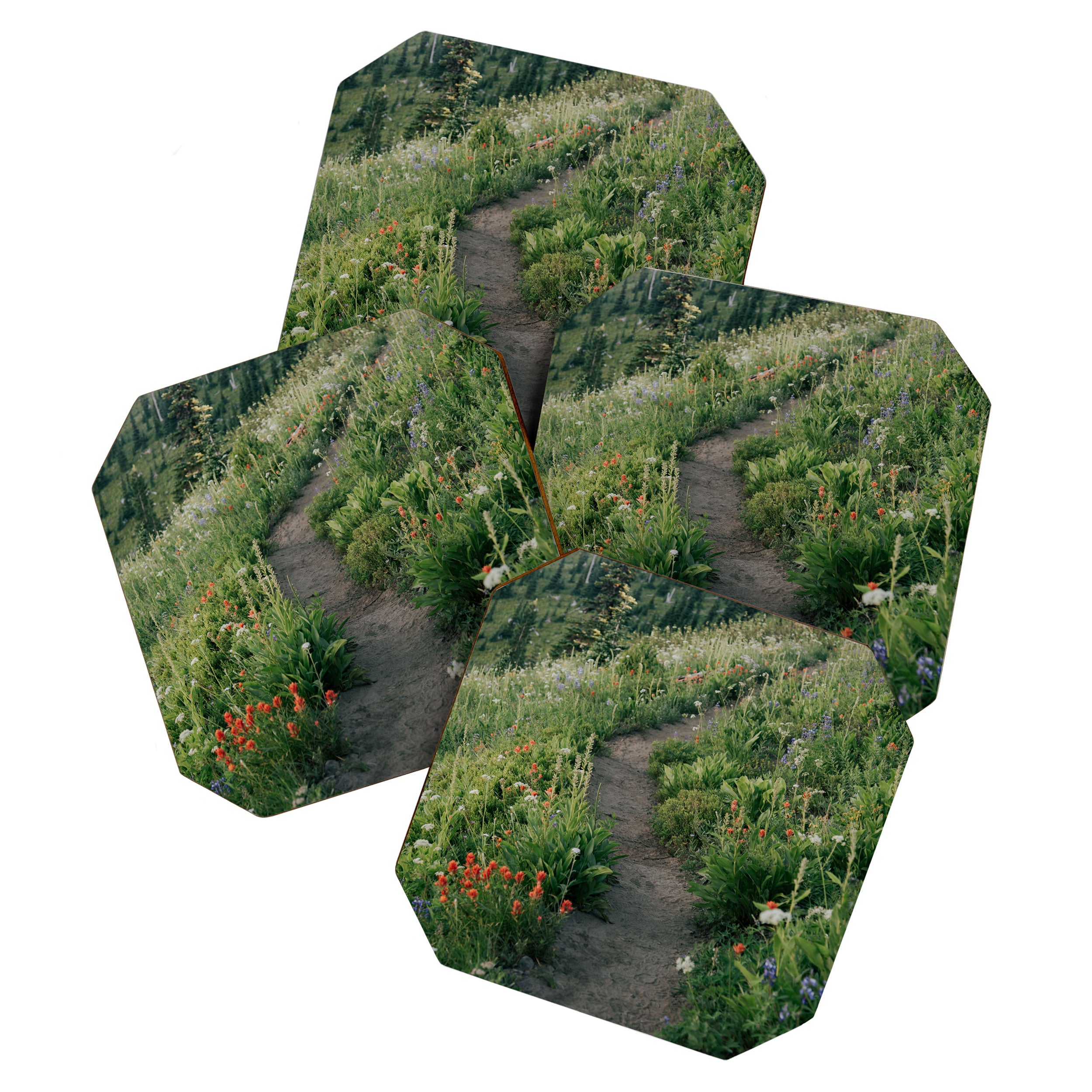 Wildflower Hike Coaster Gallery Image 1