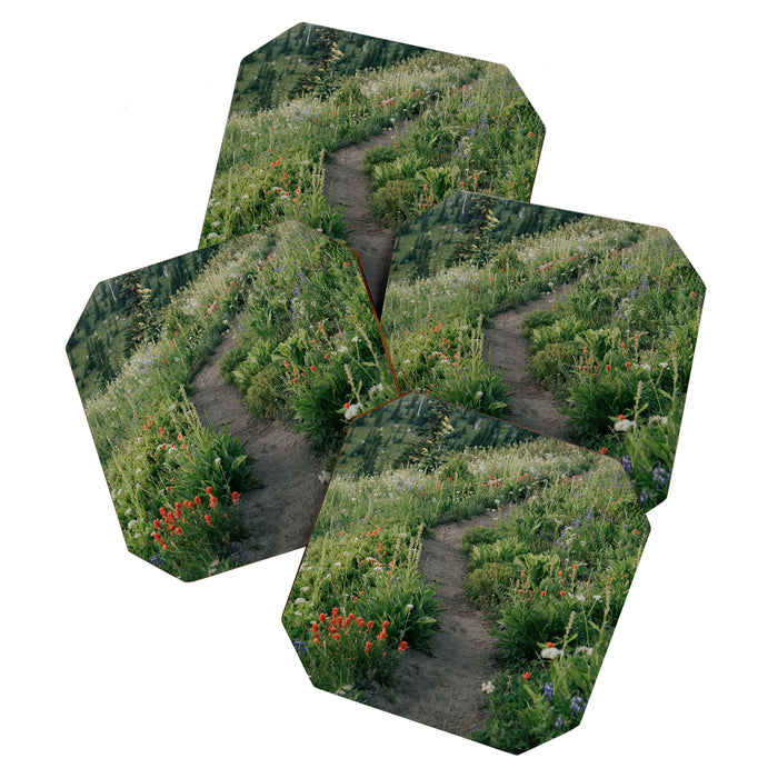 Wildflower Hike Coaster Gallery Image 1