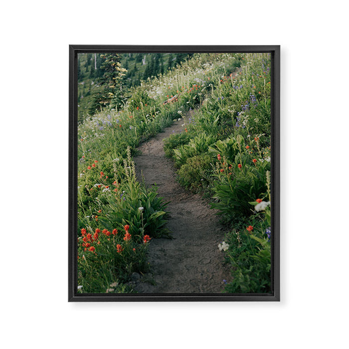 Wildflower Hike Framed Canvas Print Gallery Image 1