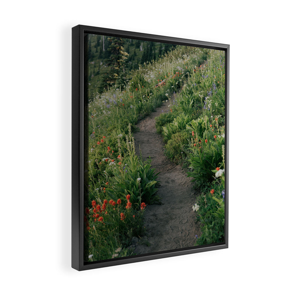 Wildflower Hike Framed Canvas Print Gallery Image 2