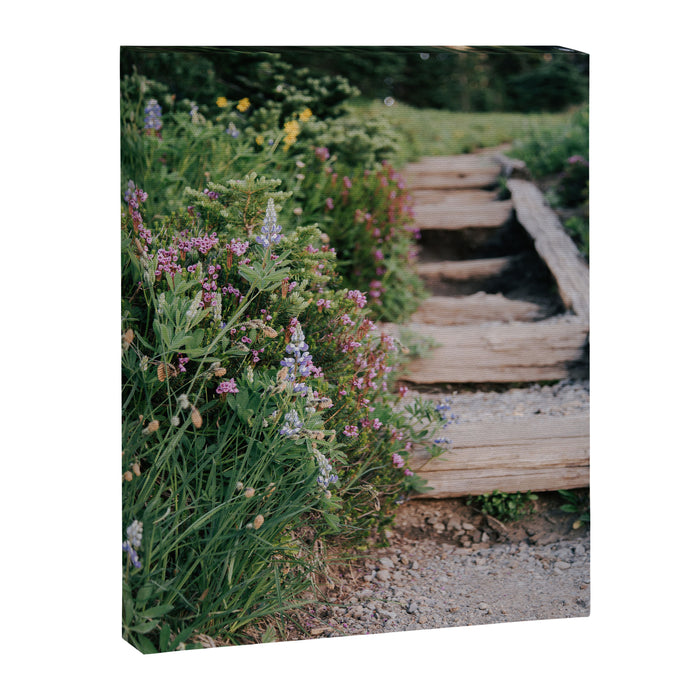 Wildflower Steps Canvas Print Gallery Image 1