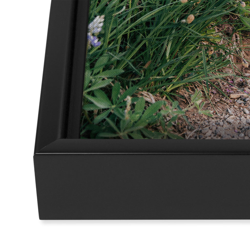 Wildflower Steps Framed Canvas Print Gallery Image 3