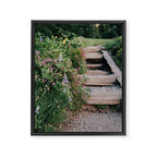 Wildflower Steps Framed Canvas Print Gallery Image 6