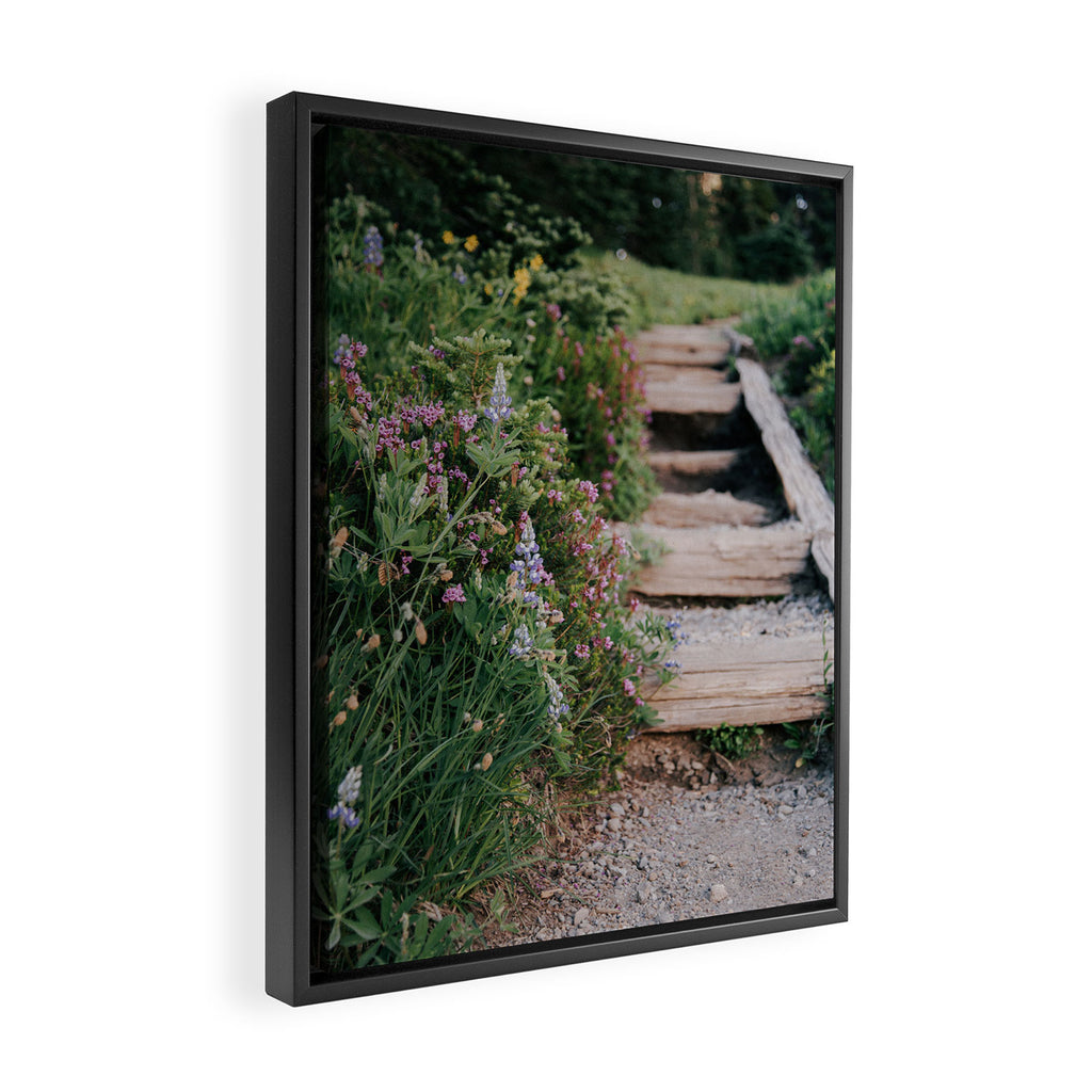 Wildflower Steps Framed Canvas Print Gallery Image 2