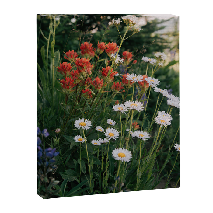 Wildflowers Canvas Print Gallery Image 1