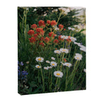 Wildflowers Canvas Print Gallery Image 3