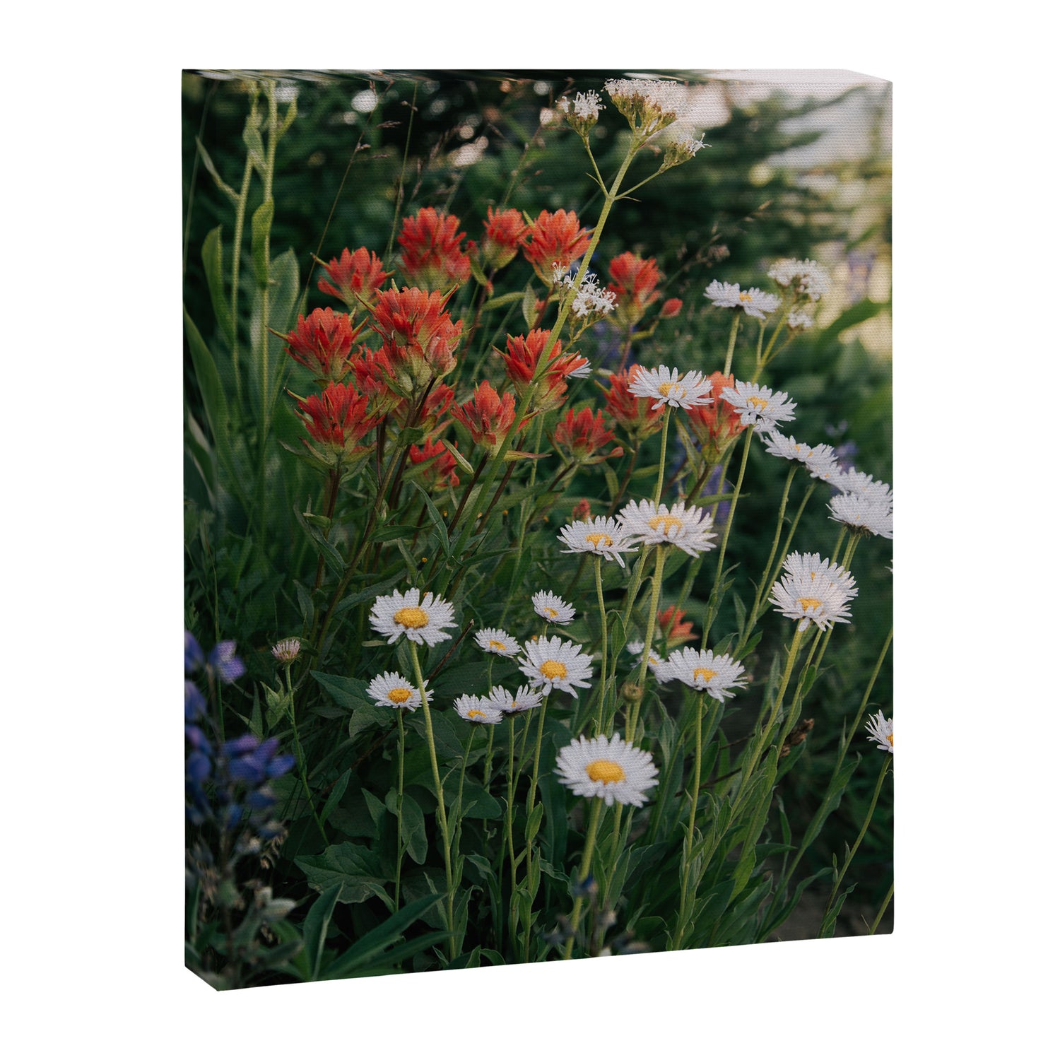 Wildflowers Canvas Print Gallery Image 3