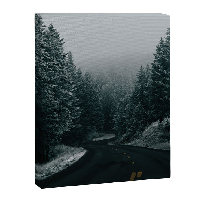 Winter Road Canvas Print Gallery Image 1