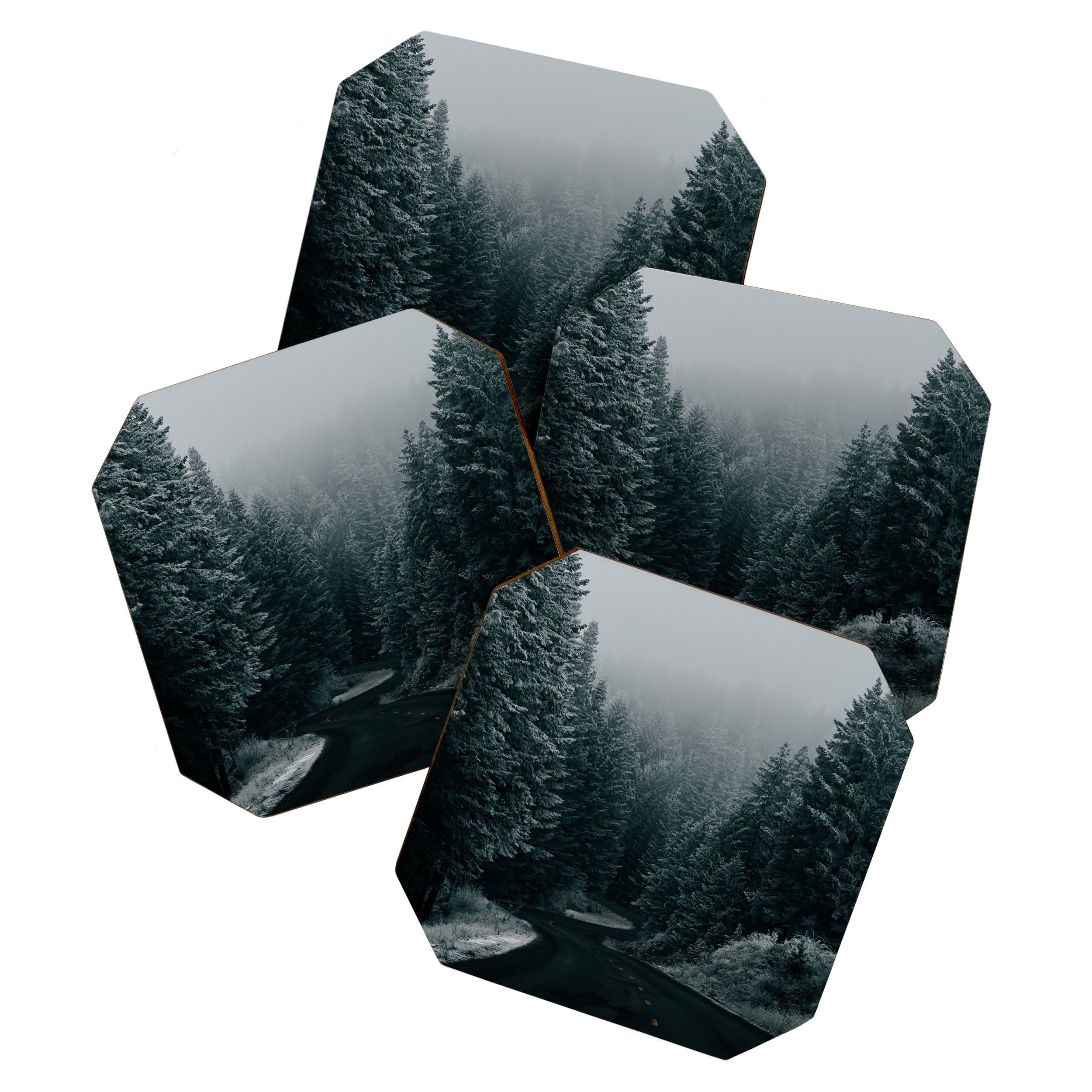 Winter Road Coaster Gallery Image 1