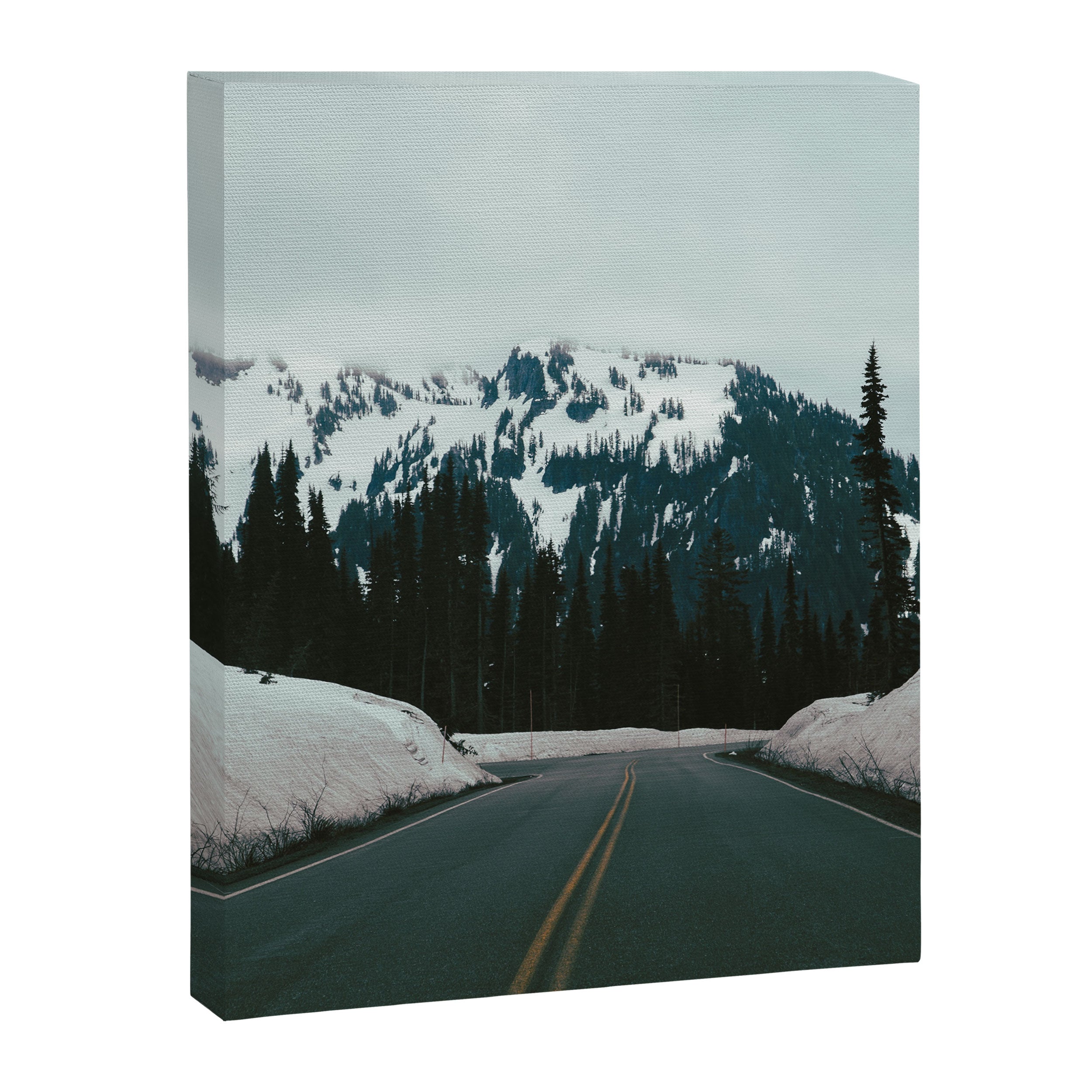 Winter's End Canvas Print Gallery Image 6