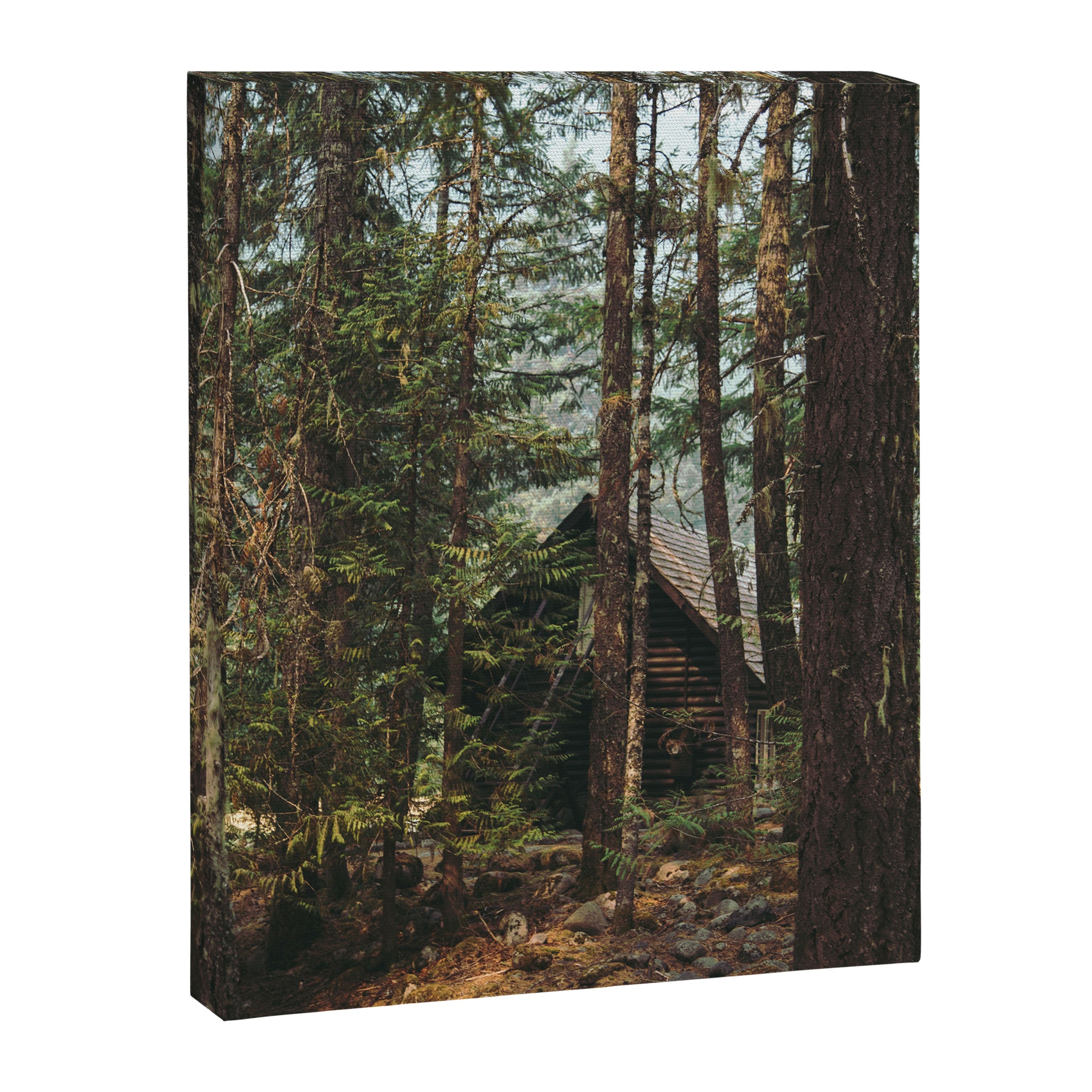 Woodland Cabin Canvas Print Gallery Image 6