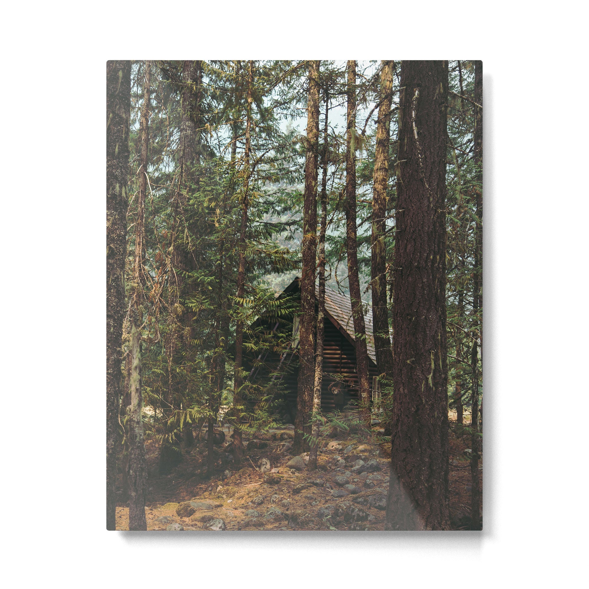 Woodland Cabin Metal Print Gallery Image 4