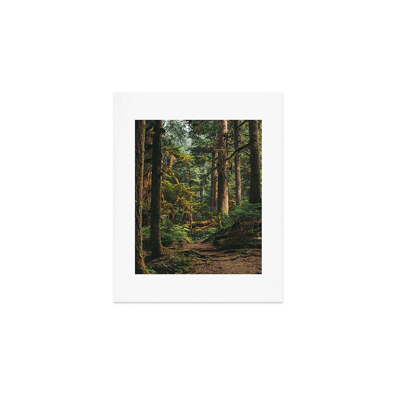 Woodland Landscape II Art Print Gallery Image 1