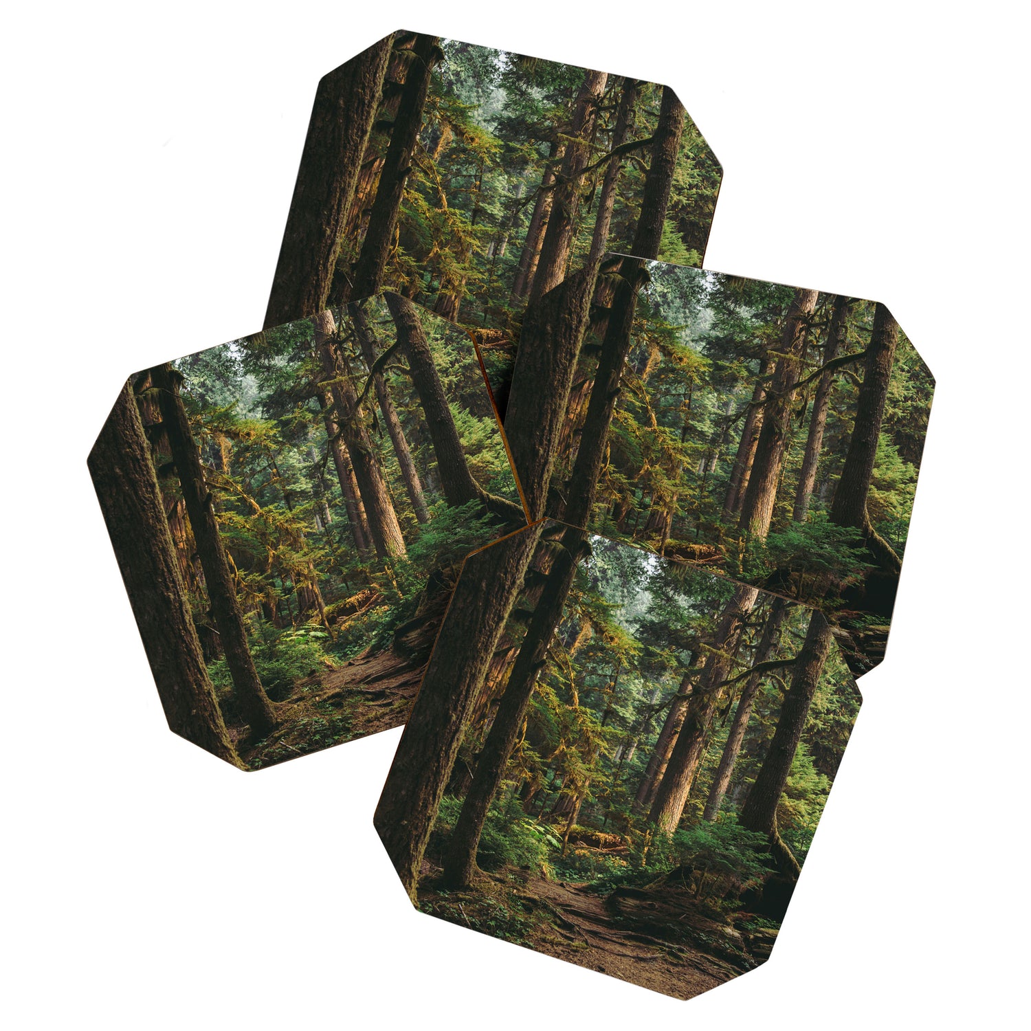 Woodland Landscape II Coaster Gallery Image 1