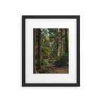 Woodland Landscape II Framed Art Print Gallery Image 5