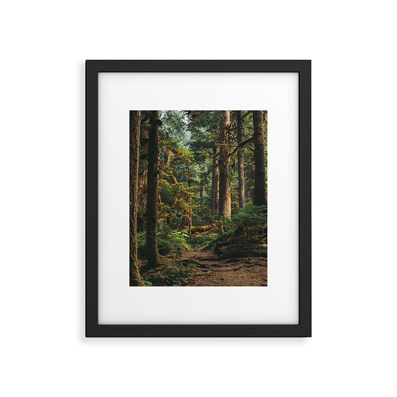 Woodland Landscape II Framed Art Print Gallery Image 5