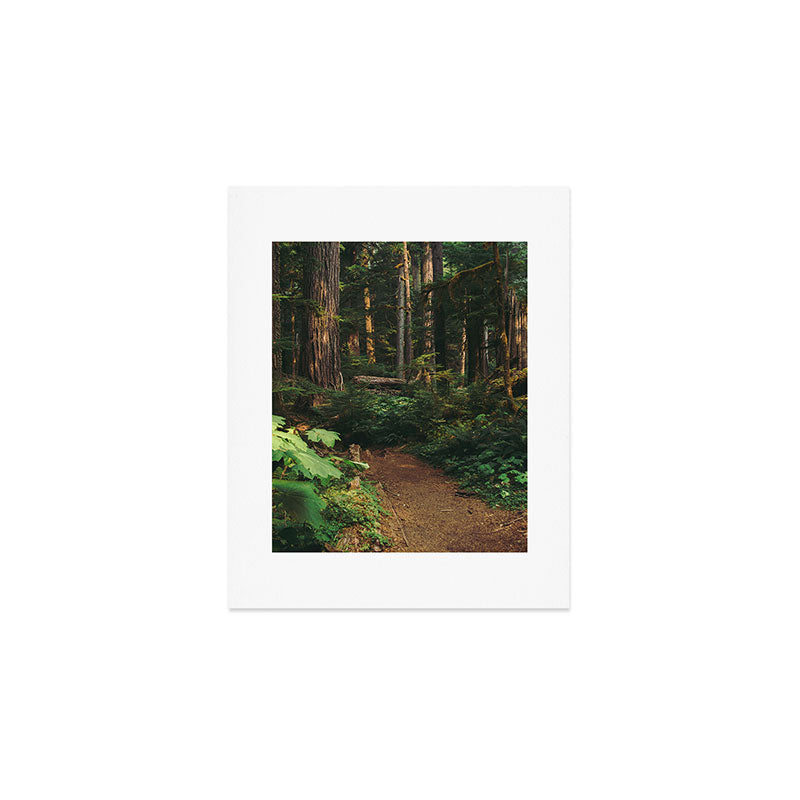Woodland Landscape Art Print Gallery Image 1