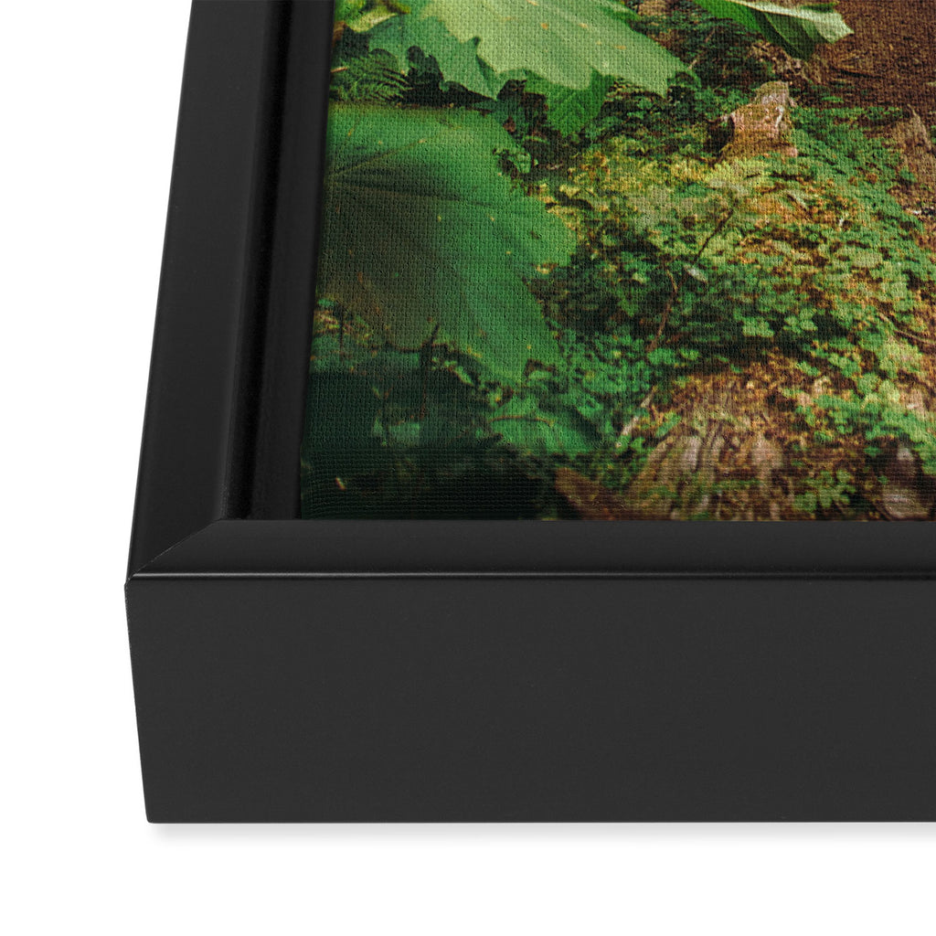 Woodland Landscape Framed Canvas Print Gallery Image 3