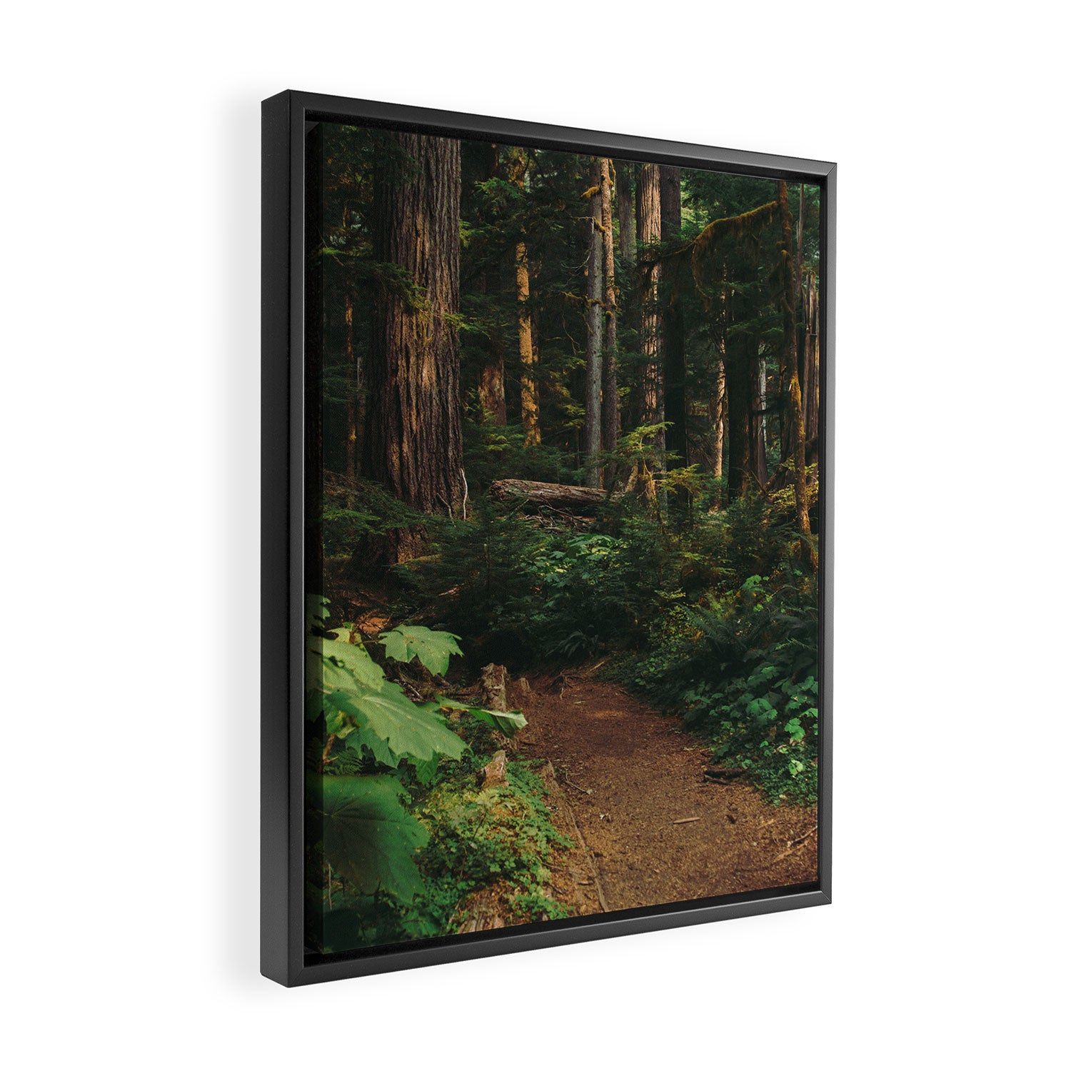 Woodland Landscape Framed Canvas Print Gallery Image 2