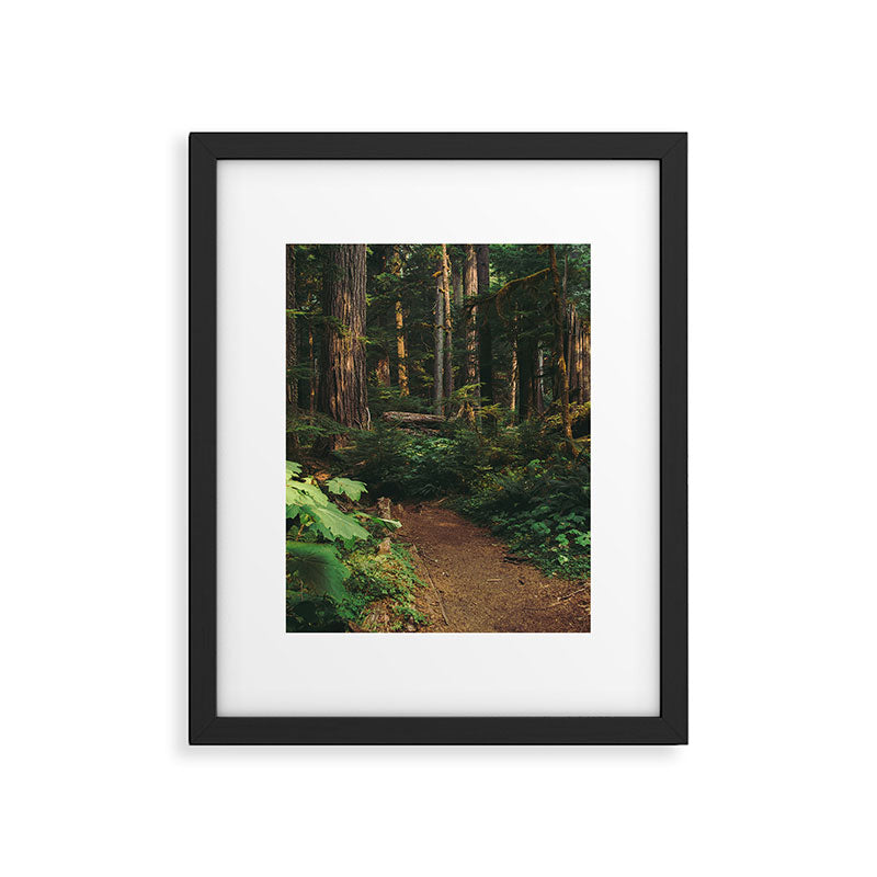 Woodland Landscape Framed Art Print Gallery Image 5