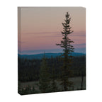 Yukon Evening Canvas Print Gallery Image 6