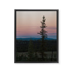 Yukon Evening Framed Canvas Print Gallery Image 6