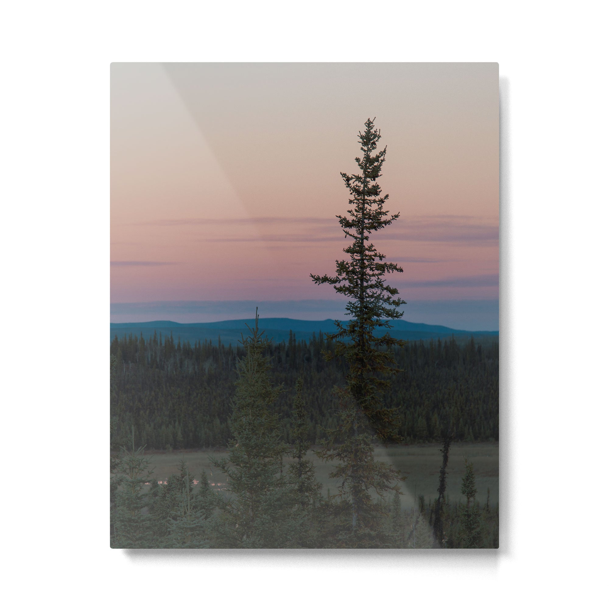Yukon Evening Metal Print Gallery Image 4