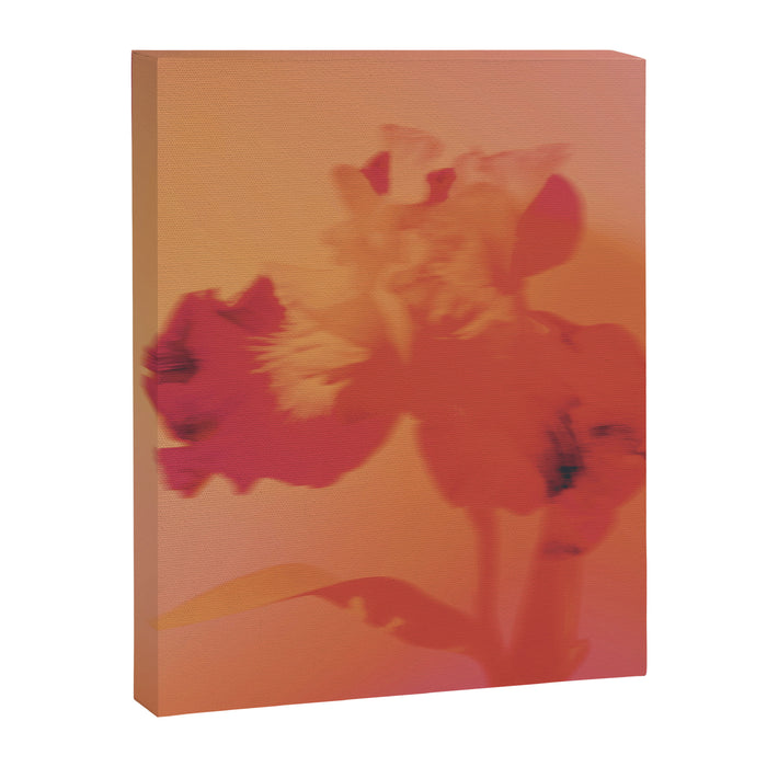 burning iris Canvas Print Gallery Image 1