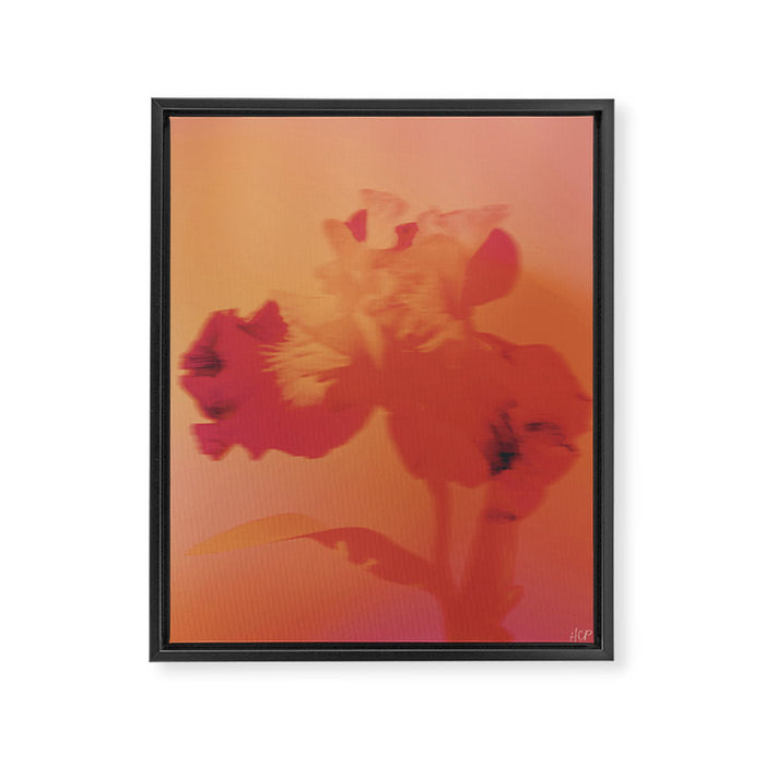 burning iris Framed Canvas Print Gallery Image 1