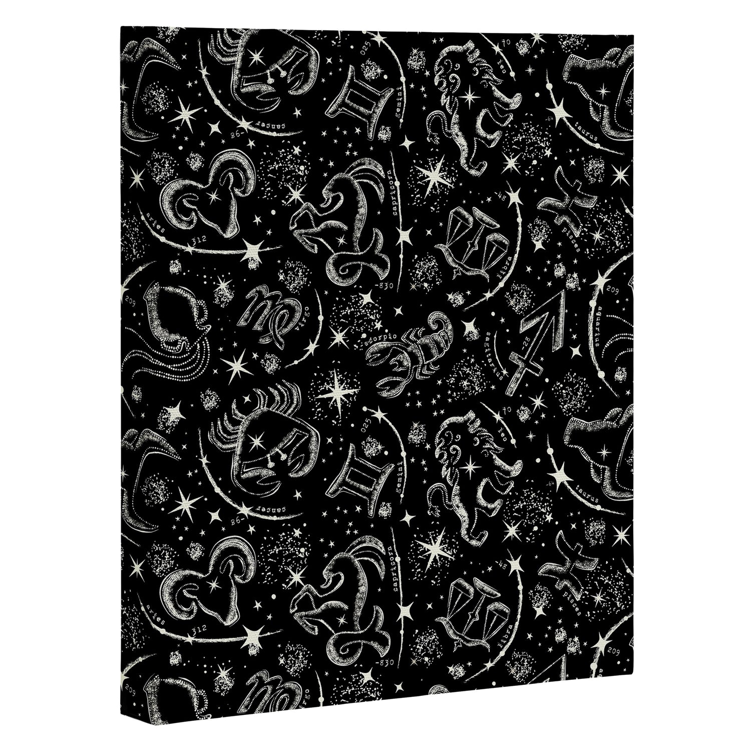 Star Child Canvas Print Gallery Image 3