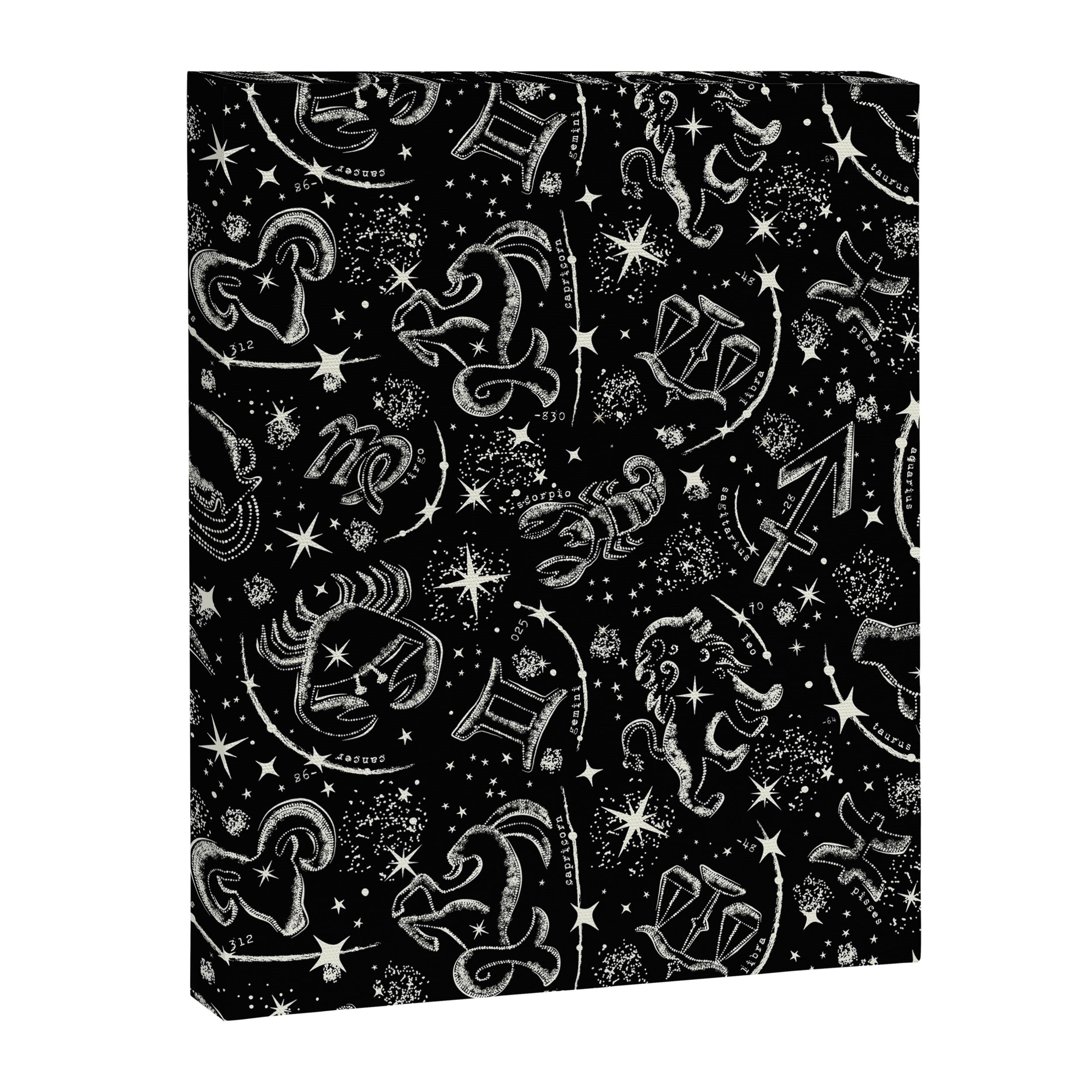 Star Child Canvas Print Gallery Image 8