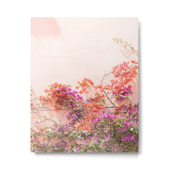 Bougainvillea Flowers in Color | Pink Wall in Cascais Art Print | Floral Travel Photography in Portugal Metal Print Gallery Image 1