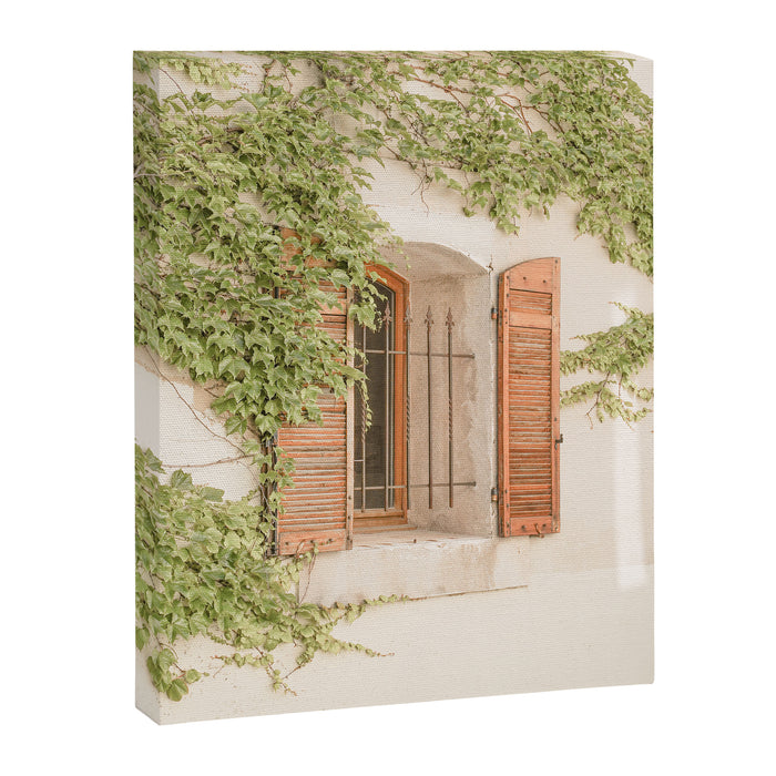 French Window Shutters Photo | Botanical Summer Art Print from Lyon | France Travel Photography Canvas Print Gallery Image 1