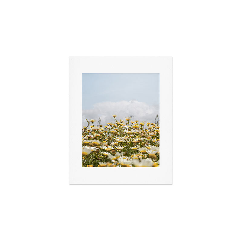 Garden of Daisy Flowers | Nature Photography in Portugal Art Print | Floral Summer Photo Art Print Gallery Image 1