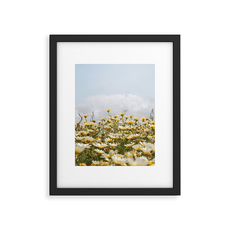 Garden of Daisy Flowers | Nature Photography in Portugal Art Print | Floral Summer Photo Framed Art Print Gallery Image 5