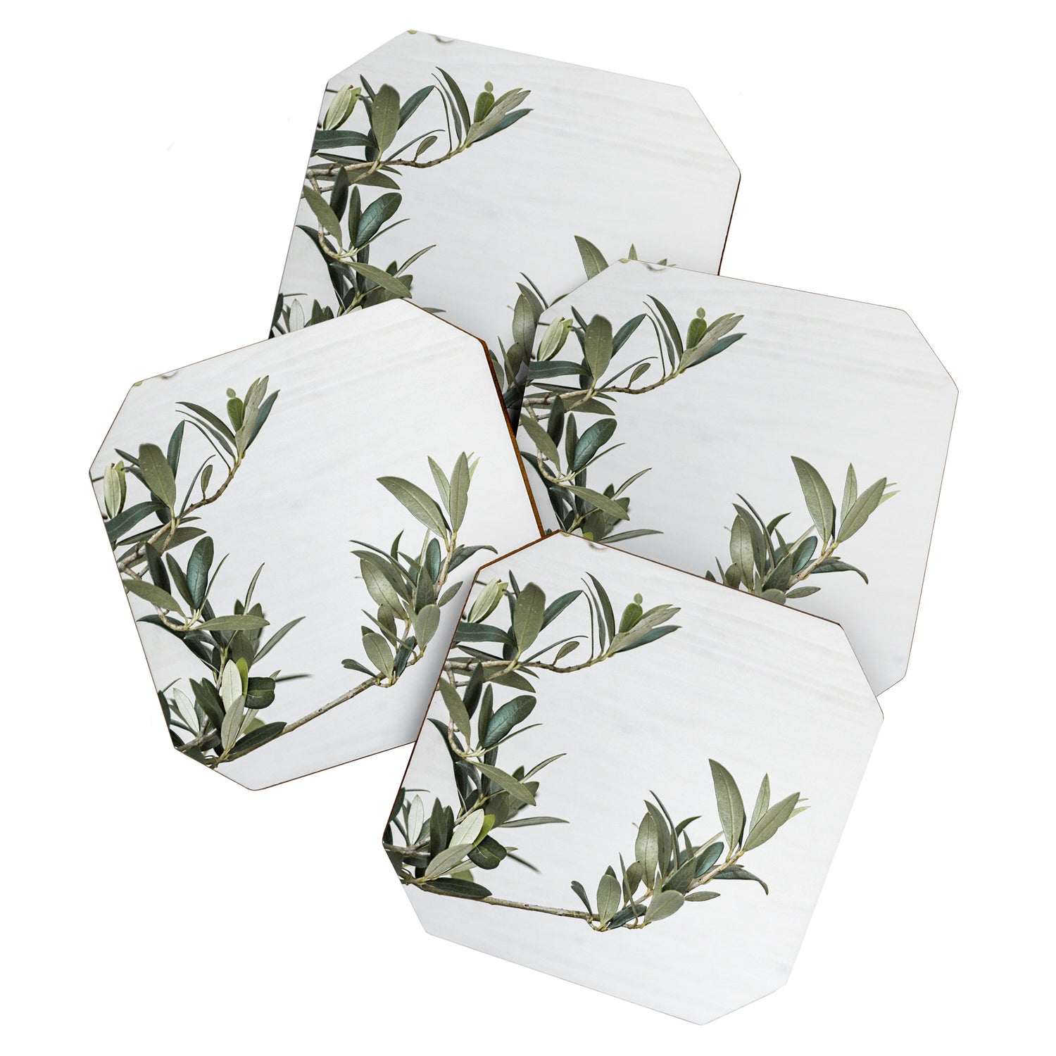 Green Olive Tree Leaves Photo | Botanical Spain Art Print Tenerife Island Nature Travel Photography Coaster Gallery Image 1