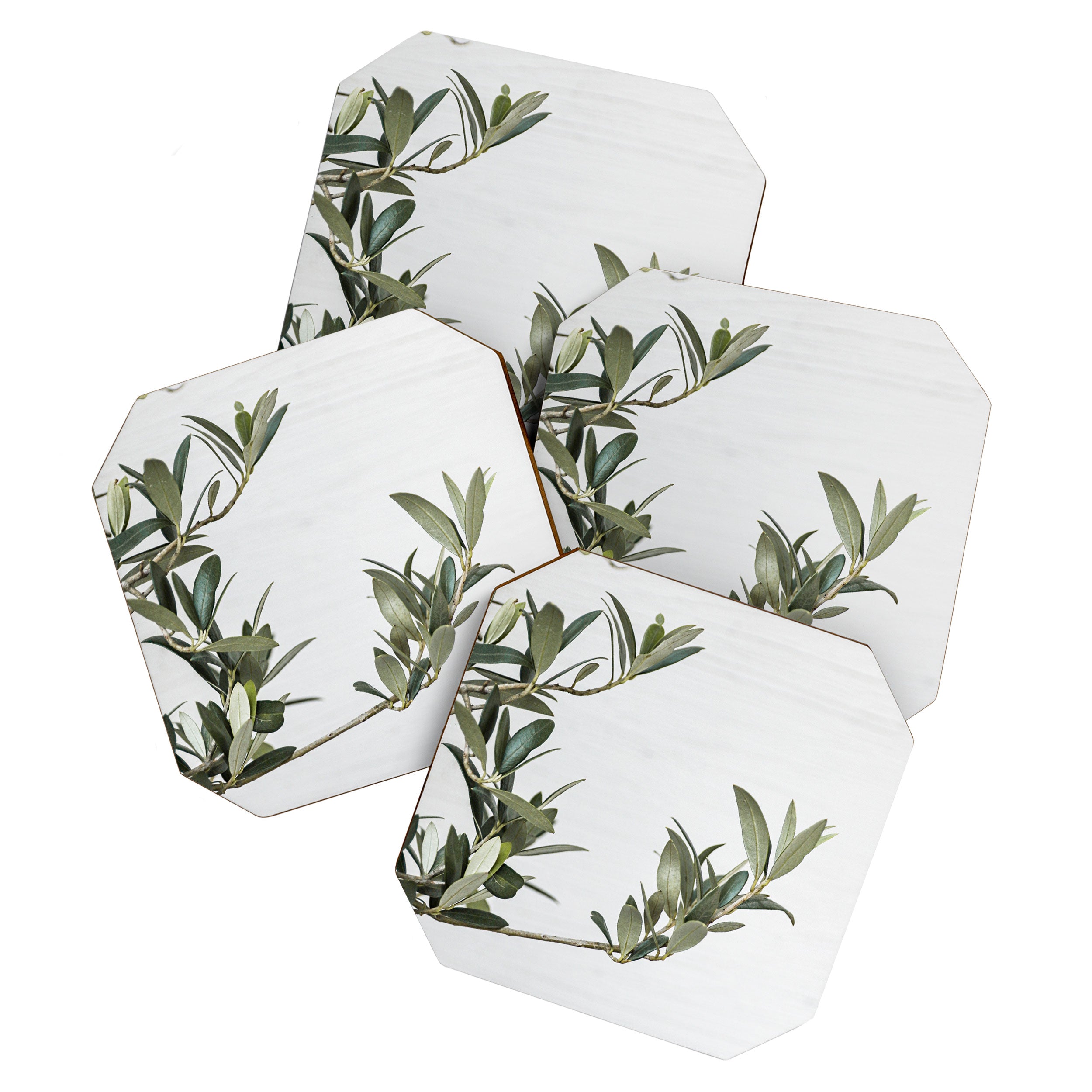 Green Olive Tree Leaves Photo | Botanical Spain Art Print Tenerife Island Nature Travel Photography Coaster Gallery Image 1