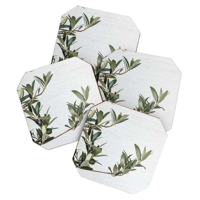 Green Olive Tree Leaves Photo | Botanical Spain Art Print Tenerife Island Nature Travel Photography Coaster Gallery Image 1