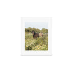 Horses in a Field of Wildflowers | Portugal Travel Art Print | Animal Photography in Europe Art Print Gallery Image 1