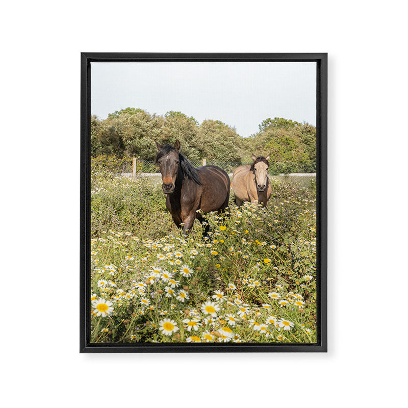 Horses in a Field of Wildflowers | Portugal Travel Art Print | Animal Photography in Europe Framed Canvas Print Gallery Image 6