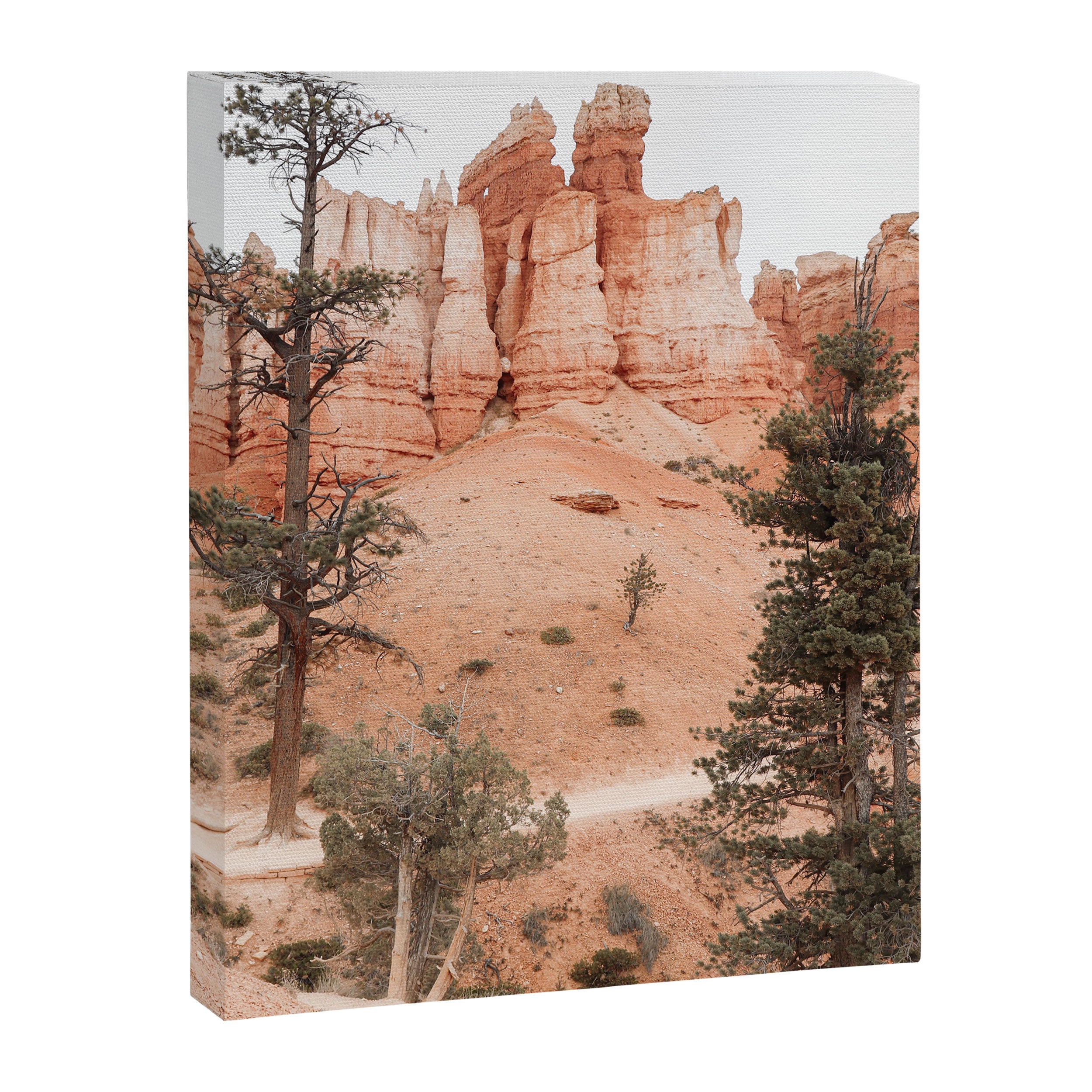 Landscape Of Bryce National Park Photo | Utah Nature Art Print | USA Digital Travel Photography Canvas Print Gallery Image 6