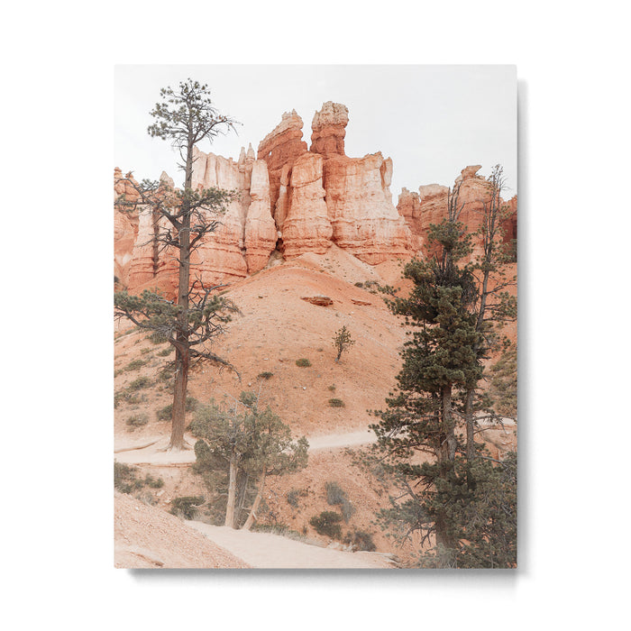 Landscape Of Bryce National Park Photo | Utah Nature Art Print | USA Digital Travel Photography Metal Print Gallery Image 1