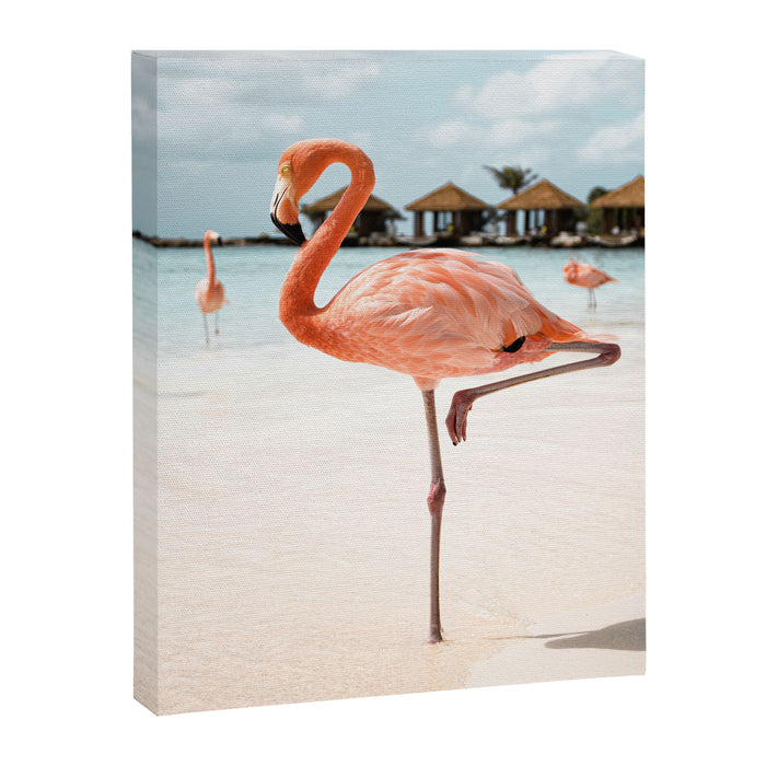 Pink Flamingo Beach Summer Photo | Aruba Tropical Island Art Print | Caribbean Travel Photography Canvas Print Gallery Image 1