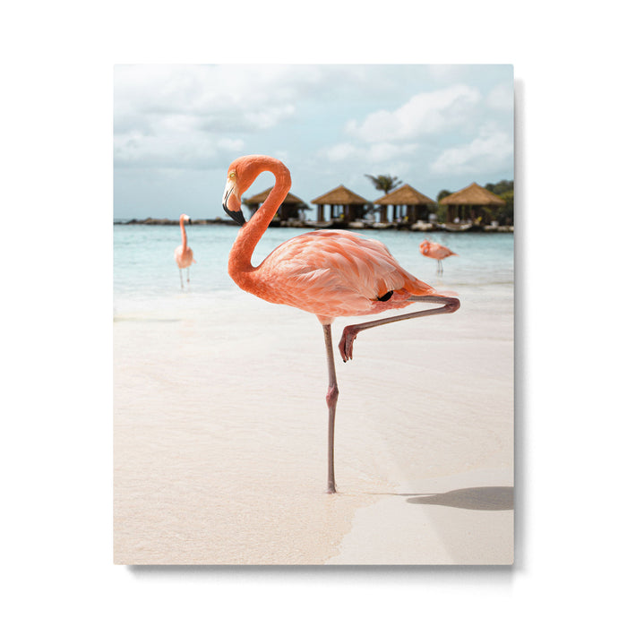 Pink Flamingo Beach Summer Photo | Aruba Tropical Island Art Print | Caribbean Travel Photography Metal Print Gallery Image 1