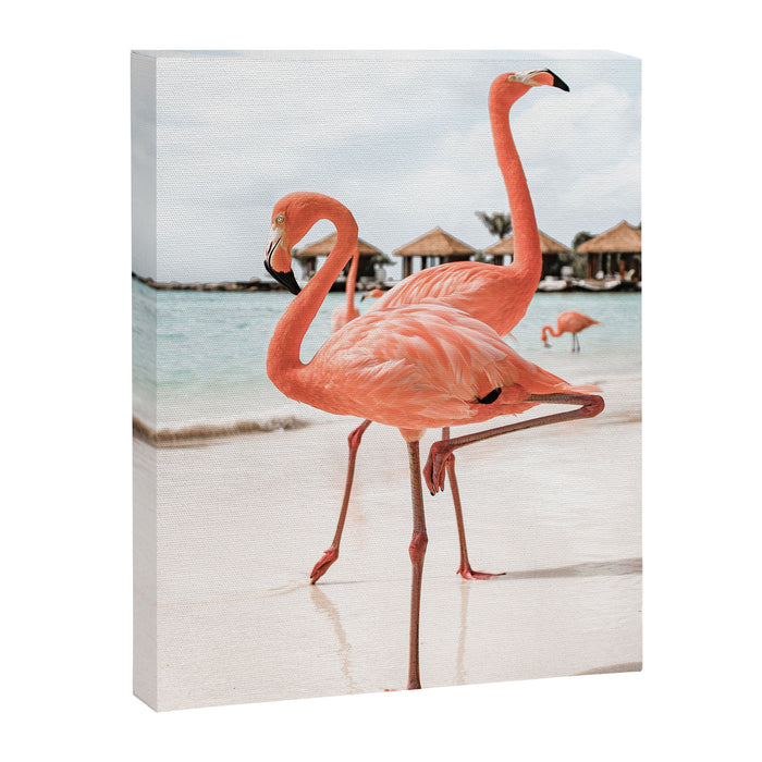 Pink Flamingos On Aruba Island Art Photo | Caribbean Beach Wall Print | Tropical Travel Photography Canvas Print Gallery Image 1