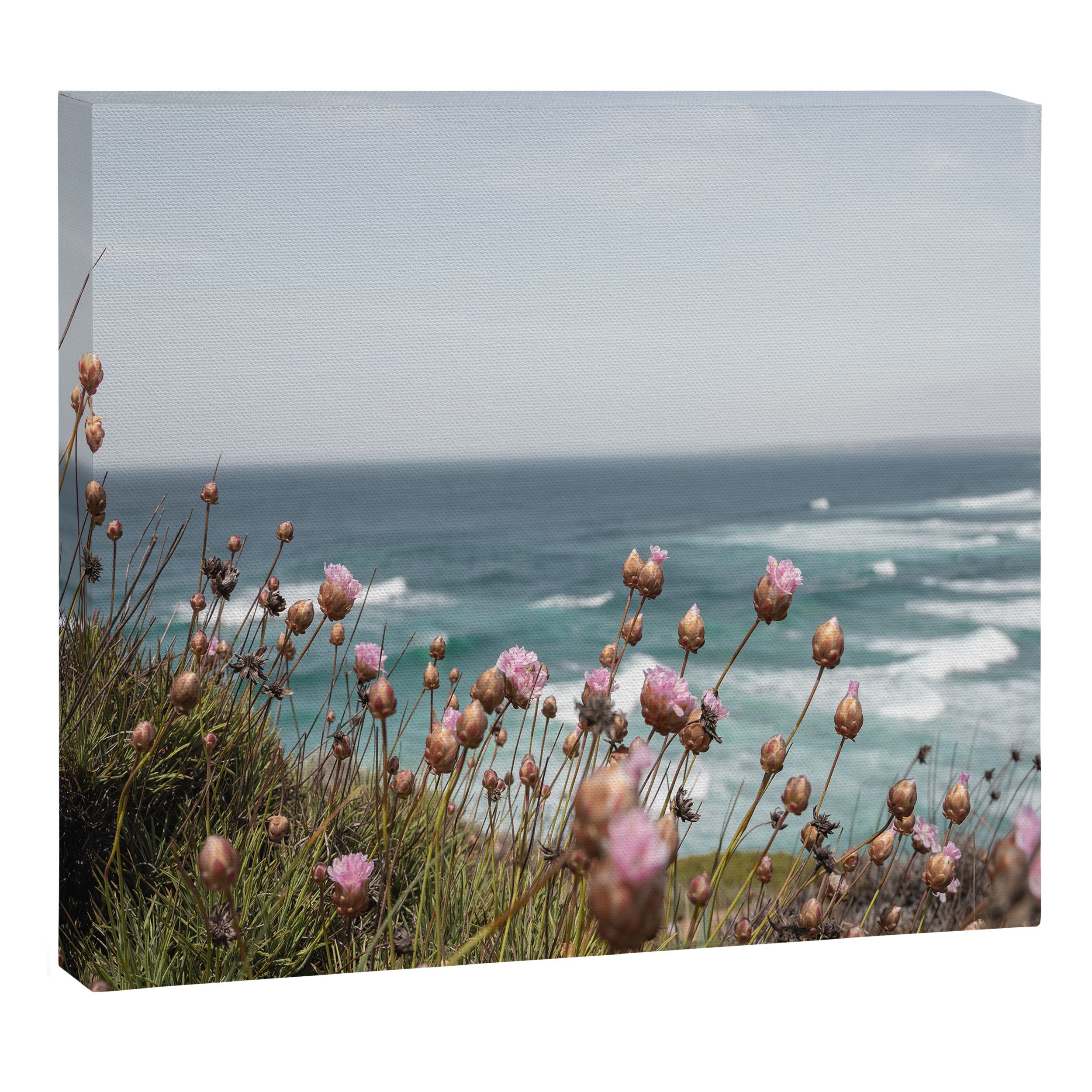 Pink Flowers by the Ocean | Travel Photography in Portugal Art Print | Summer at Bordeira Beach Canvas Print Gallery Image 6