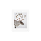 Reindeer With Antlers Art Print | Tromsø Norway Animal Snow Photo | Arctic Winter Travel Photography Art Print Gallery Image 1