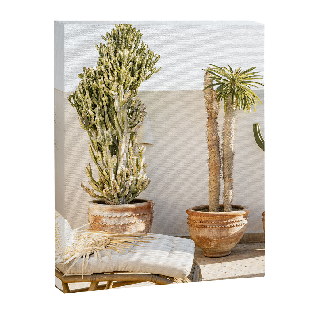Rooftop Cacti Canvas Print Gallery Image 6