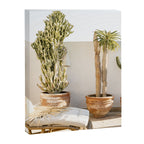 Rooftop Cacti Canvas Print Gallery Image 6